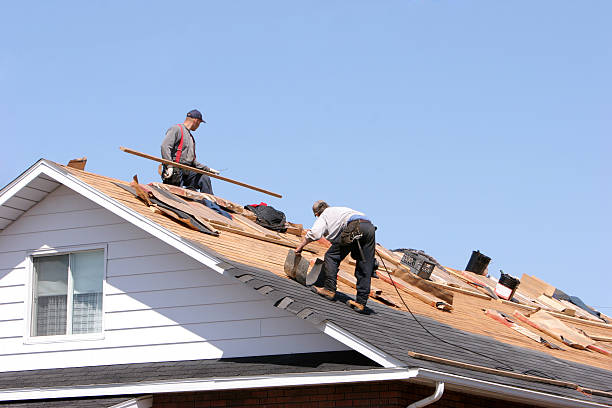 Best Sheet Metal Roofing  in Belleair Beach, FL